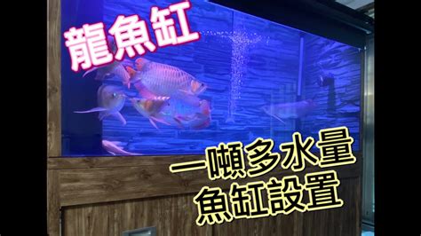 申·桑-金 龍魚魚缸背景